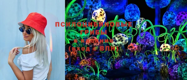 эйфоретик Богородицк
